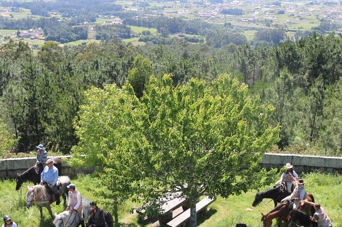 Horseback Riding Camino De Santiago in Abadín, Spain - Tour Overview