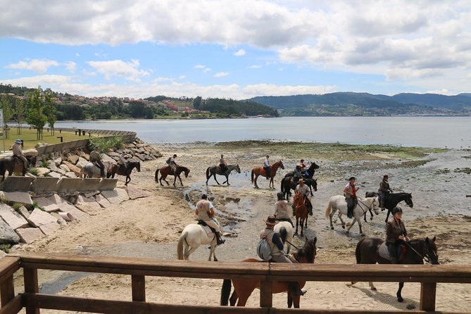 Horseback Riding Camino De Santiago in Abadín, Spain - Contact Information and Pricing