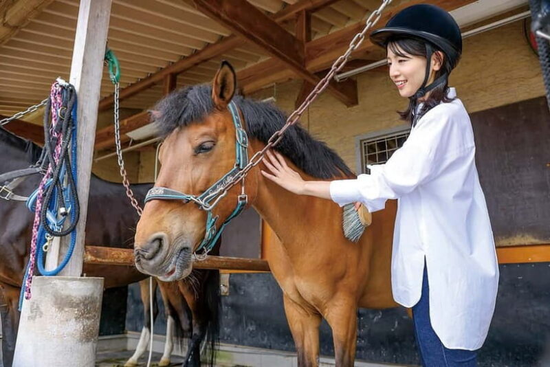 Horseback Riding Club to learn about connecting lives - Good To Know
