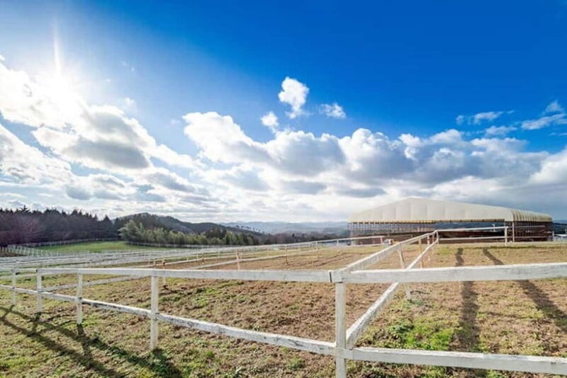 Horseback Riding Club to learn about connecting lives - Value for Money