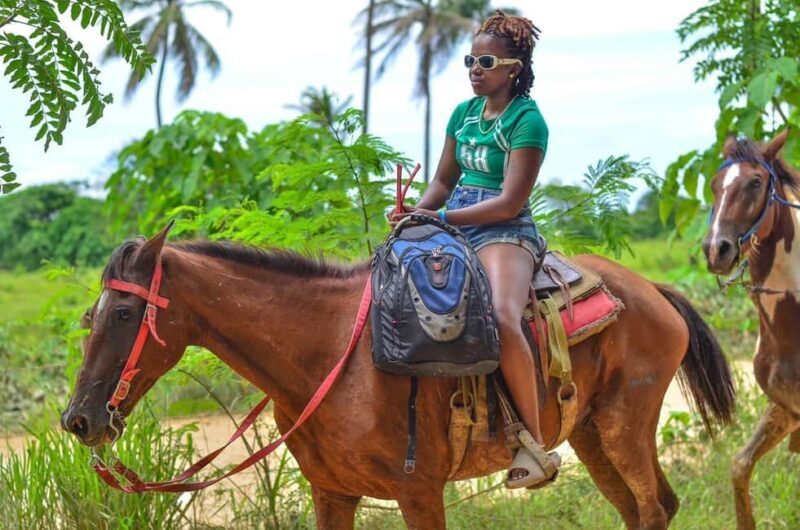 Horseback riding, coffee, chocolate tasting and Macao beach - The Sum Up