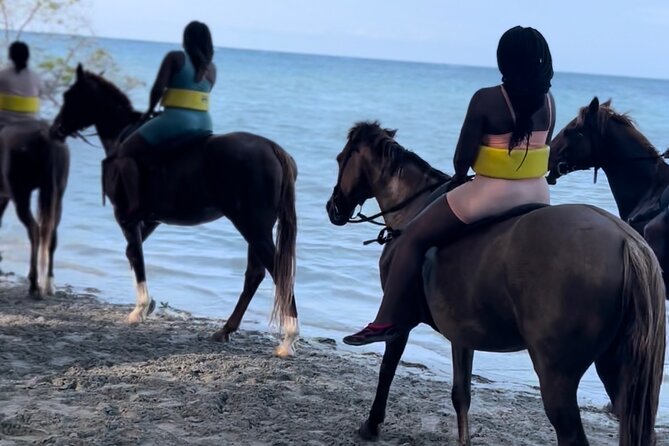 Horseback Riding, Dunns River Falls & Blue Hole From Montego Bay - Itinerary Details