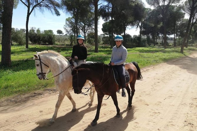 Horseback Riding Exclusive for Couples, in Parque Natural Doñana, Sevilla - Meeting and Pickup