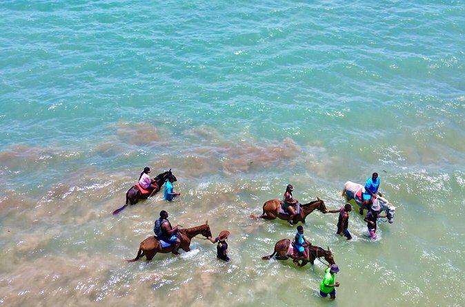 Horseback Riding Experience - The Sum Up: Is It Worth It?