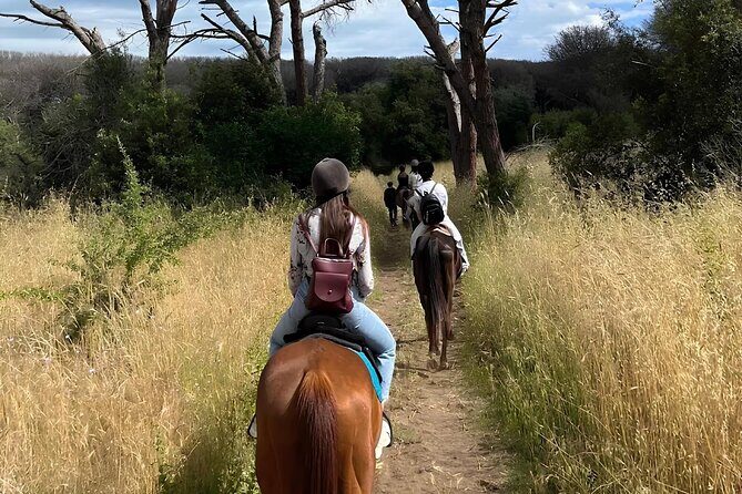 Horseback Riding Experience in Castel Fusano near Rome - A Practical Overview of the Horseback Riding Experience