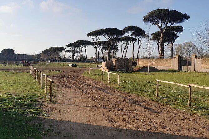 Horseback Riding Experience in Castel Fusano near Rome - The Experience: What to Expect on the Trail