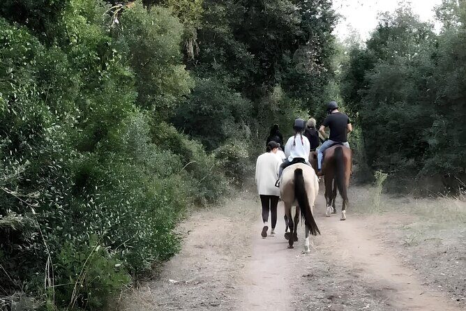 Horseback Riding Experience in Castel Fusano near Rome - Authentic Insights from Travelers