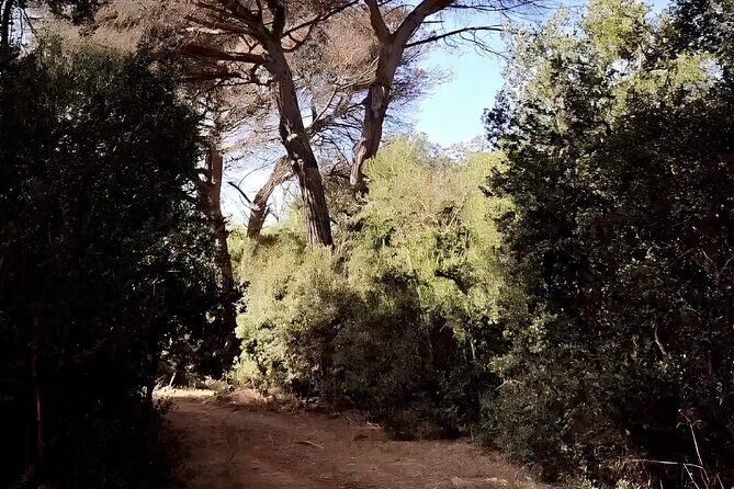 Horseback Riding Experience in Castel Fusano near Rome - Pricing and Value