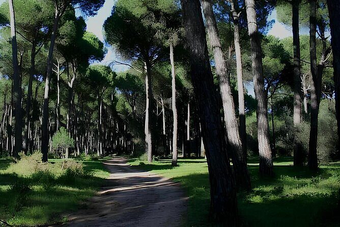 Horseback Riding Experience in Castel Fusano near Rome - Who Should Book This Tour?