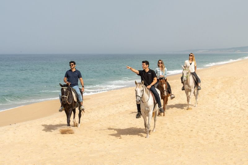 Horseback Riding Experience in Comporta and Setúbal from Lisbon - From Lisbon to Setúbal’s fishing-town streets