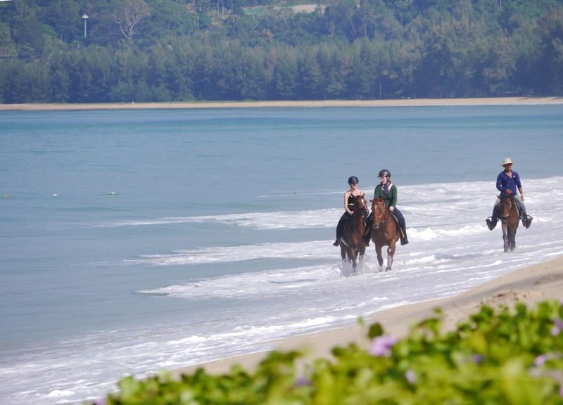 Horseback Riding Experience in Phuket - What to know before you book