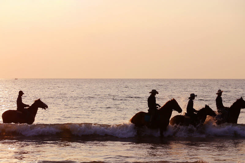 Horseback Riding Experience in Phuket - A beach ride with the sea in view