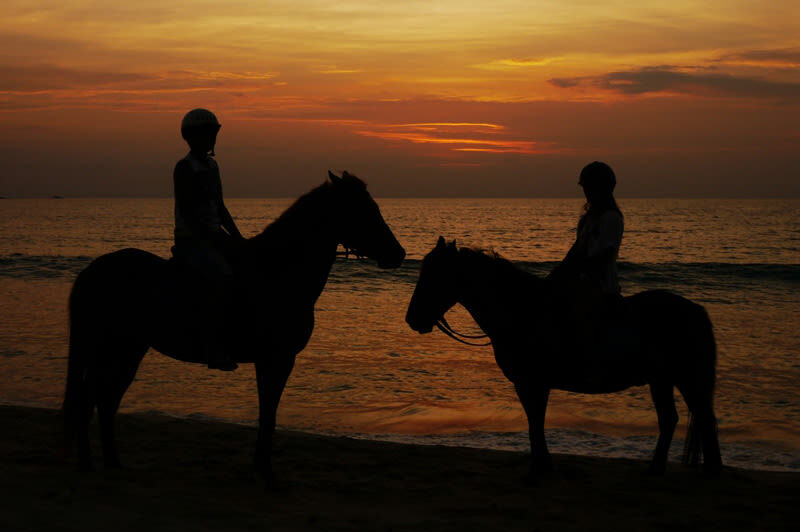 Horseback Riding Experience in Phuket - What happens during the ride