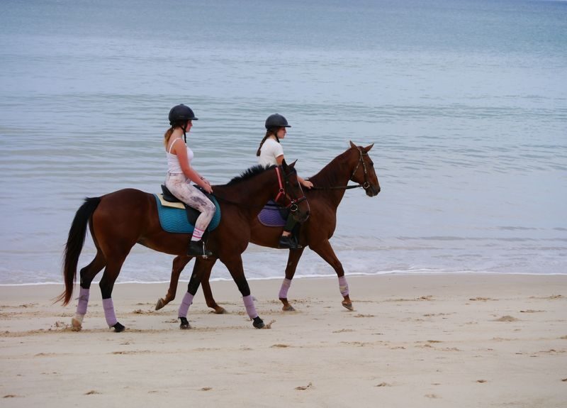 Horseback Riding Experience in Phuket - Choosing a 30-minute, sunset, or swim package