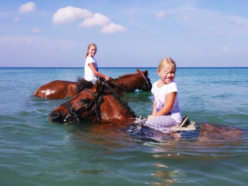 Horseback Riding Experience in Phuket - Beginner-friendly, with a few things to check