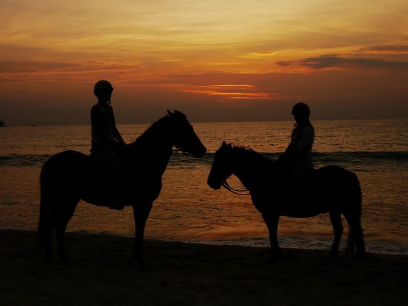 Horseback Riding Experience in Phuket - Photos, horses, and service