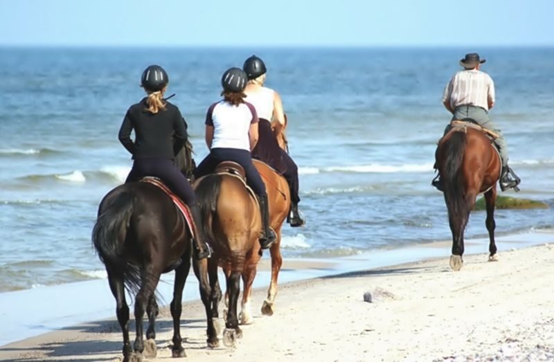 Horseback Riding Experience in Phuket - Practical details before you set off