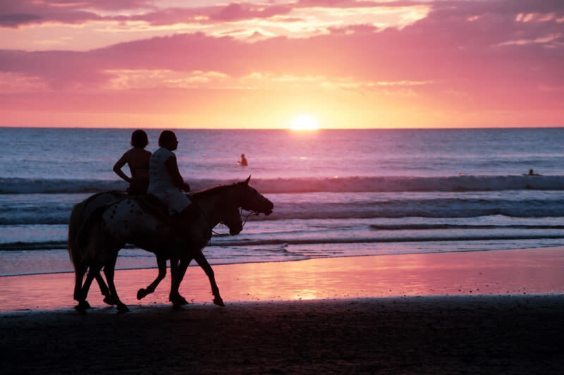 Horseback Riding Experience in Phuket - Is this Layan Beach ride worth booking?