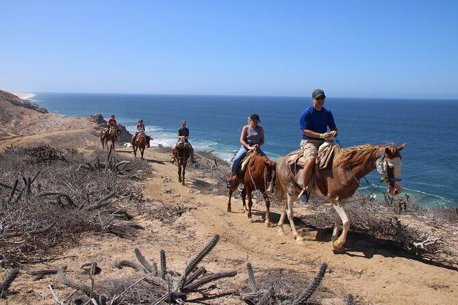 Horseback Riding Experience in Rancho San Cristobal - Good To Know