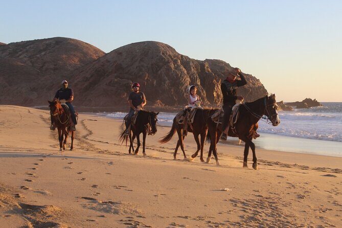 Horseback Riding Experience in Rancho San Cristobal - An In-Depth Look at the Rancho San Cristobal Horseback Riding Tour