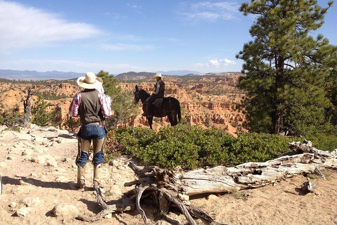 Horseback Riding Experience through Red Canyon with a Guide - Good To Know
