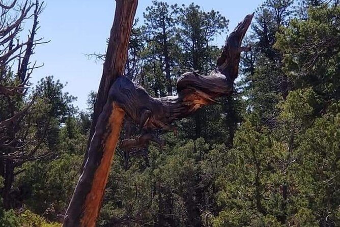 Horseback Riding Experience through Red Canyon with a Guide - An In-Depth Look at the Horseback Riding Tour