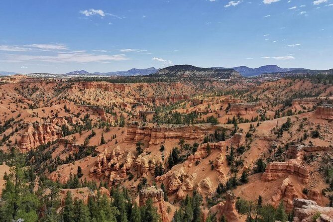 Horseback Riding Experience through Red Canyon with a Guide - The Sum Up