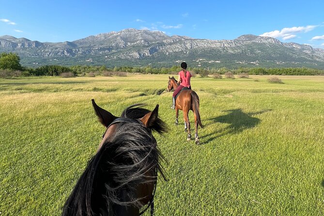 Horseback Riding Experience With Transport From Dubrovnik - Cancellation Policy