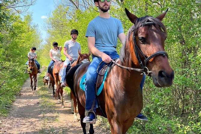 Horseback Riding Experience With Transport From Dubrovnik - Reviews