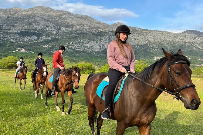 Horseback Riding Experience With Transport From Dubrovnik - Price and Inclusions
