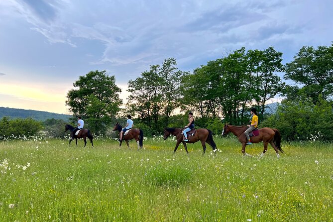Horseback Riding Experience With Transport From Dubrovnik - Start Time and Travelers