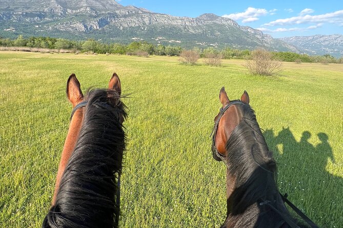 Horseback Riding Experience With Transport From Dubrovnik - Additional Information