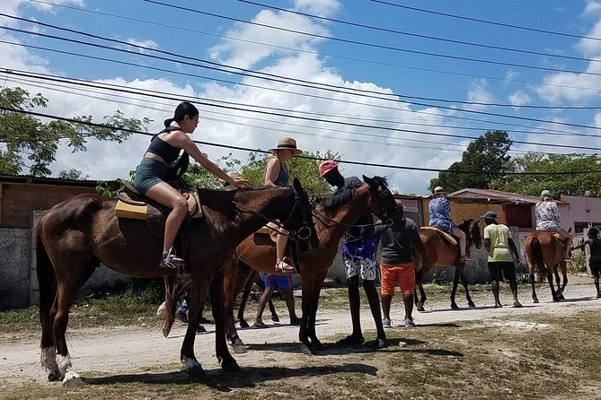 Horseback Riding From Montego Bay - Accommodation