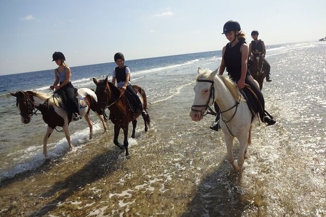Horseback Riding HurghadaToGo - Additional Costs