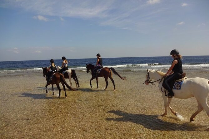 Horseback Riding HurghadaToGo - Cancellation Policy