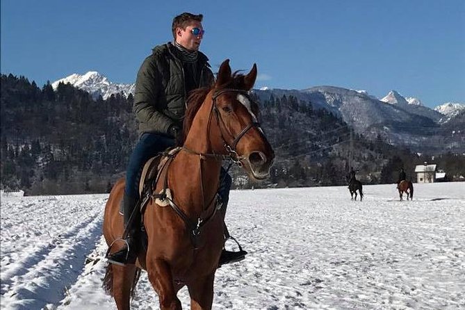 Horseback Riding In Bled - Breathtaking Horseback Riding Routes