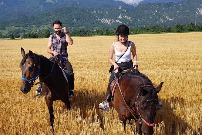 Horseback Riding In Bled - Diverse Riding Options for All Levels