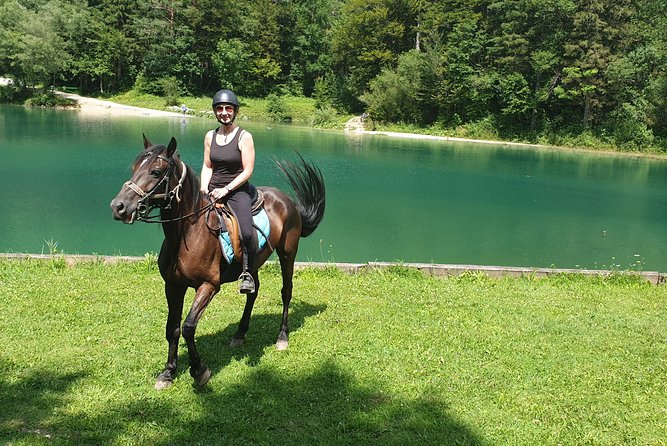 Horseback Riding In Bled - Insightful Customer Reviews and Recommendations