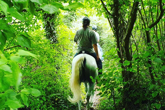 Horseback Riding In Bled - Frequently Asked Questions