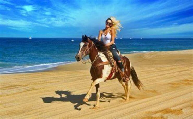 Horseback Riding in Boavista - Experience Highlights