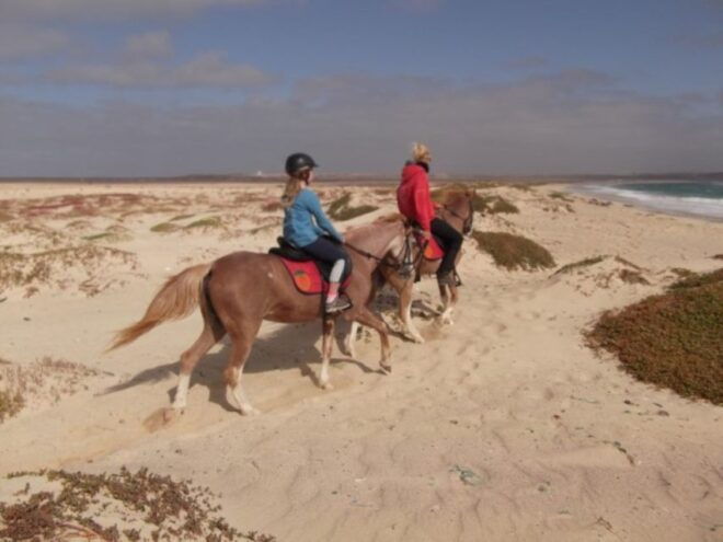 Horseback Riding in Boavista - Booking Information