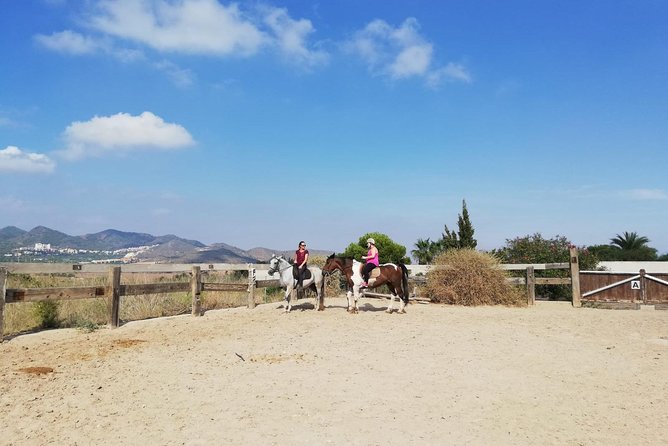 Horseback Riding in Cartagena (Spain) - Schedule and Availability