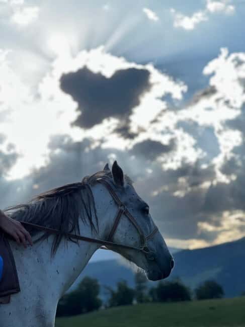 Horseback riding in Dilijan - An Overview of the Experience