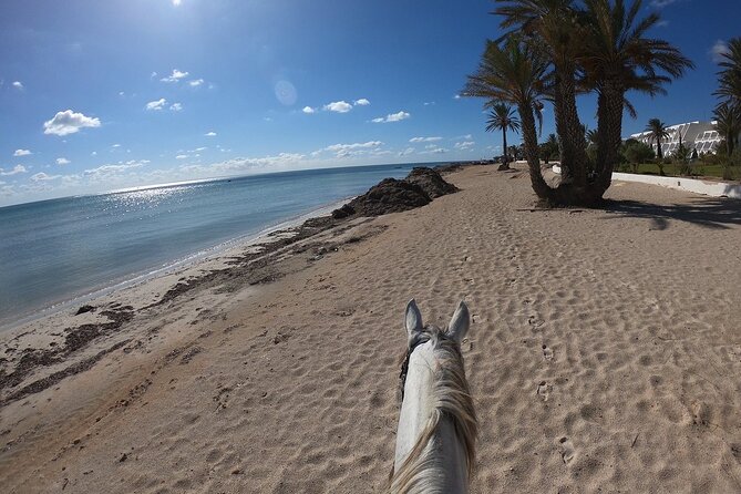 Horseback Riding in Djerba Lagoon - Common Questions