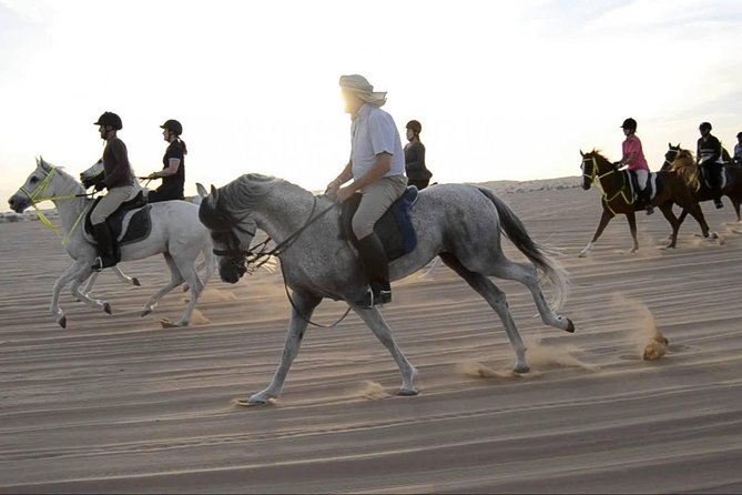 Horseback Riding in Dubai Desert - Experience the Serenity of the Desert