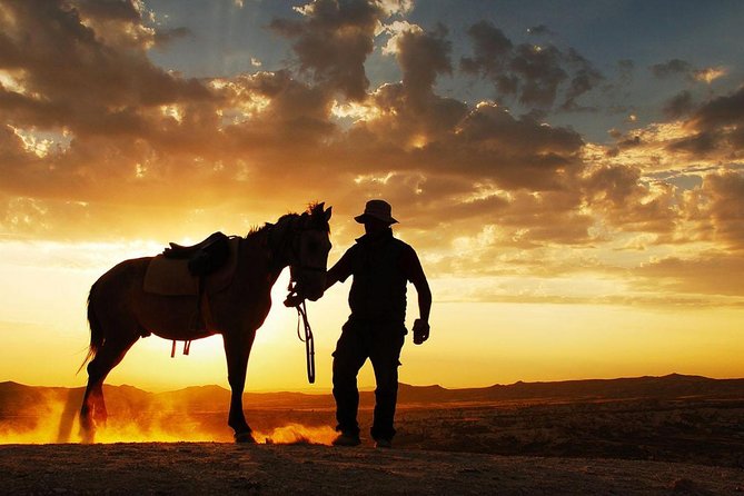 Horseback Riding in Dubai Desert - Explore the Stunning Desert Wilderness