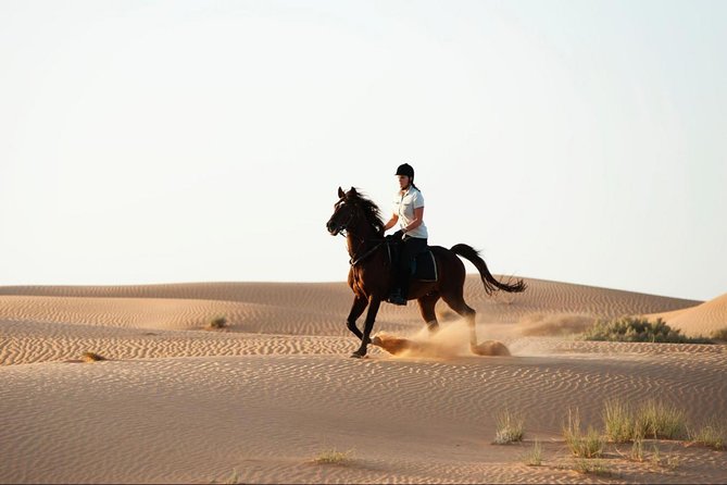 Horseback Riding in Dubai Desert - Common Questions