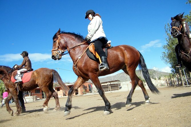 Horseback Riding in Fuerteventura for 1 or 2 Hours, Spain - What To Expect