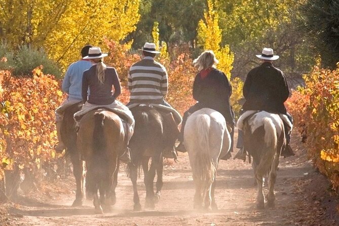 Horseback Riding in Mendoza Through the Vineyards and River With Optional Asado. - Location Details