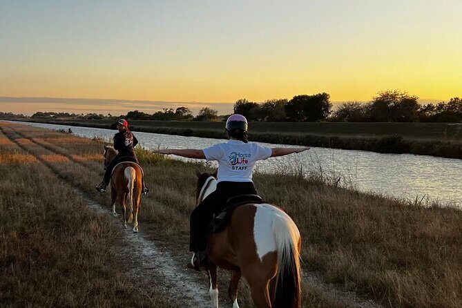 Horseback Riding in Miami - What to Expect from the Horseback Riding Experience